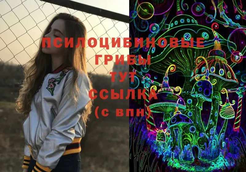 Псилоцибиновые грибы мухоморы  Сокол 